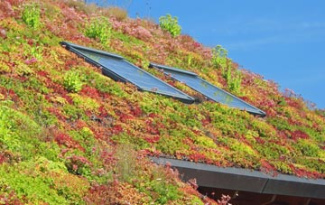 Barthomley living roof systems